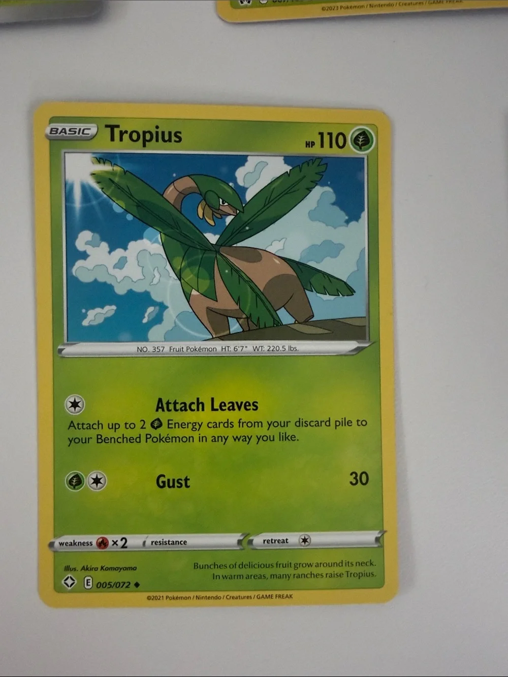 🌿 Forest Pokémon Card Lot | Tropius Maractus Burmy Wormadam Crustle ✨5/$25✨
